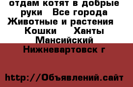 отдам котят в добрые руки - Все города Животные и растения » Кошки   . Ханты-Мансийский,Нижневартовск г.